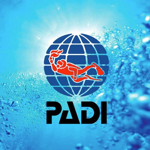 PADI Open Water Diver (Referral)