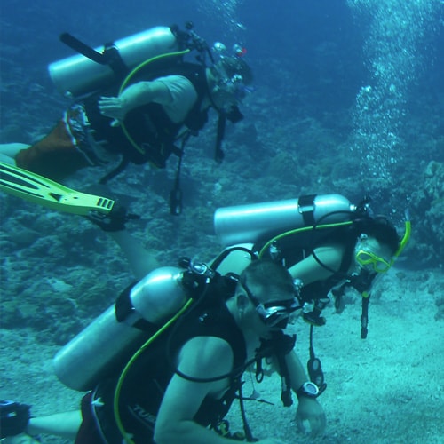 PADI Open Water Diver – базовий рівень