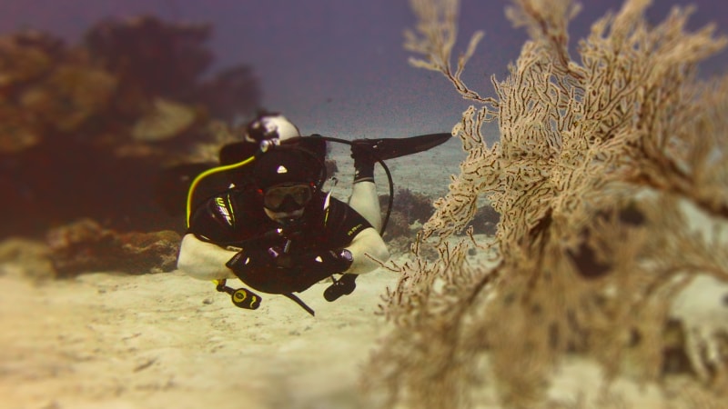 PADI Drift Diver – занурення в умовах течій